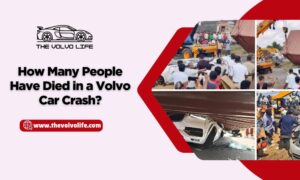 How Many People Have Died in a Volvo Car Crash