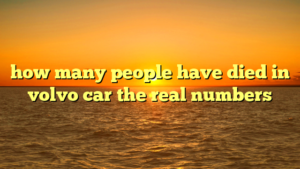 how many people have died in volvo car the real numbers