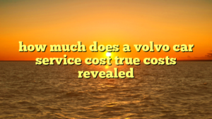 how much does a volvo car service cost true costs revealed