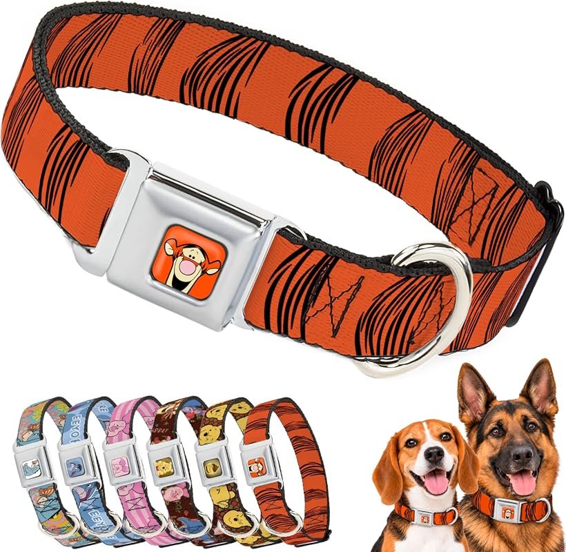 Vibrant Dog Collar with Seatbelt Buckle, Tigger Stripes in Orange and Black, 1 Inch Wide